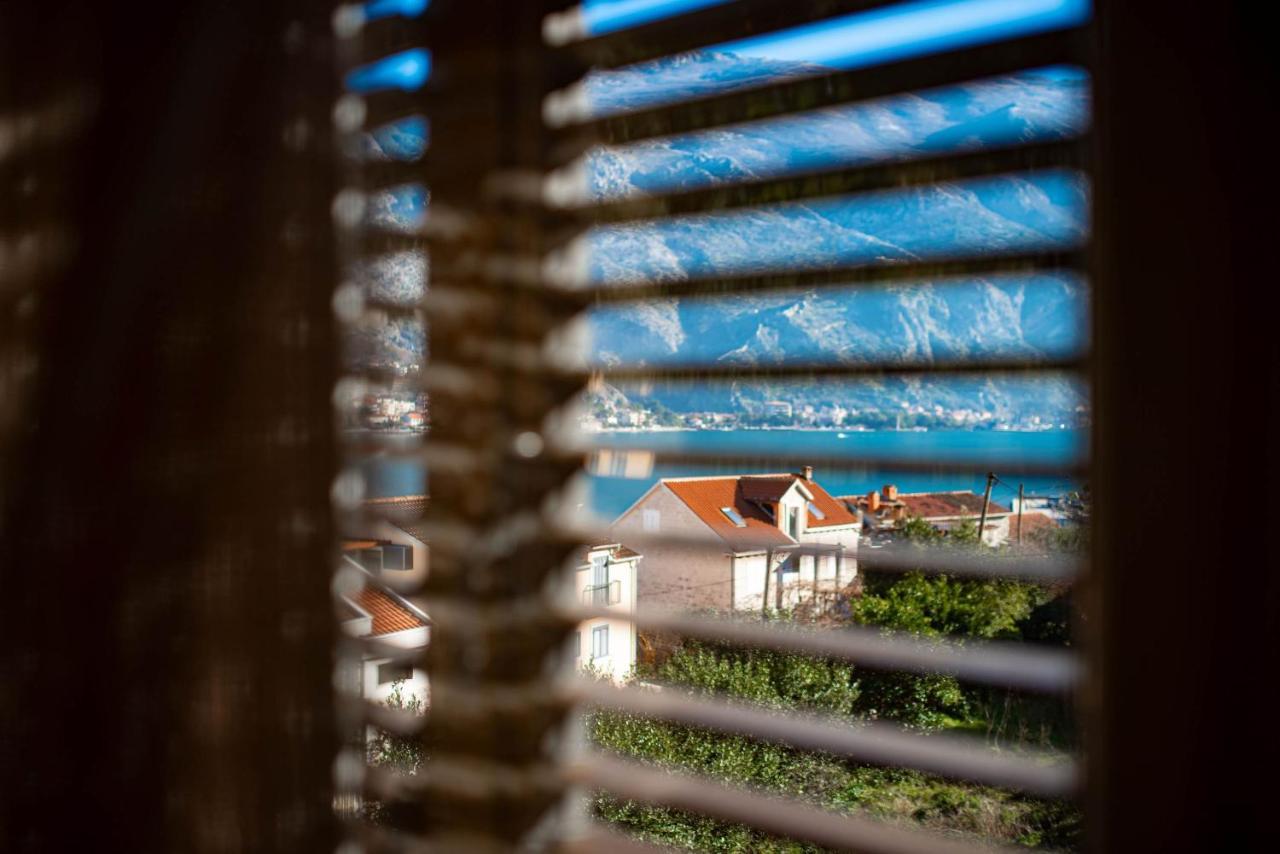 Apartments Markovic Kotor Kültér fotó